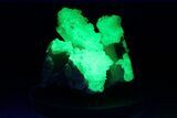 Extremely Fluorescent Hyalite Opal on Feldspar - Nambia #283810-1